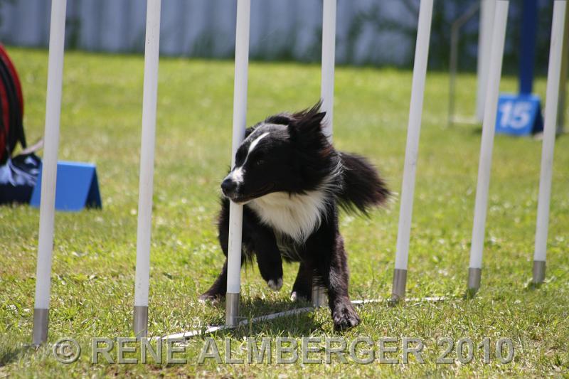 Bild 439.jpg